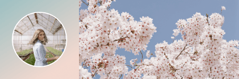 Profile switcher three